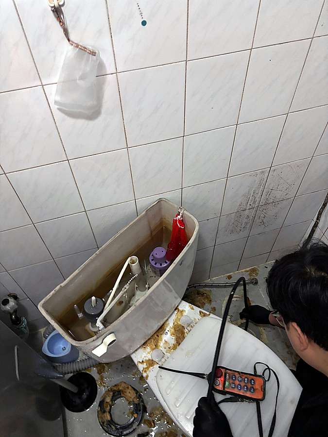 변기 역류 원인 1